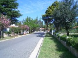 jerrythirdargentinapics 030 
